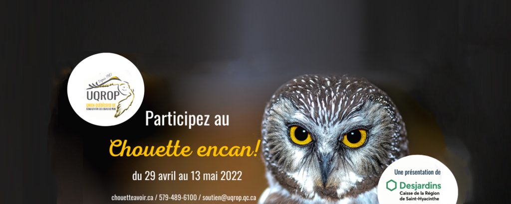 chouette-encan-2022-3